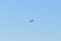 18 blessés dans une frappe de drone kamikaze dans le nord d'Israël - © Juif.org