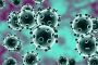 349 nouveaux cas de coronavirus en 24 heures ! - © Juif.org