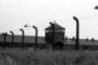 70 ans après Auschwitz, l'alerte à l'antisémitisme n'est pas levée - © La Libre