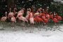 A quoi ressemble le Moyen Orient sous la neige' - © Slate .fr