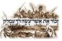 Amalek : combat ultime d'Israël - © www.a7fr.com