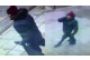 Attentat à Copenhague : il a voulu imiter les attentats à Paris, qui est le tireur ? - © LCI.fr - Monde