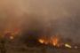 Au moins 40 morts dans un violent incendie en Israël - © Le Monde.fr