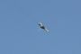 Avion syrien abattu par Israël: Moscou appelle à la retenue - © RIA Novosti