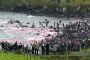 Ayelet Shaked : Les Danois sont les plus grands massacreurs danimaux au monde ! - © Le Monde Juif