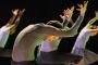 Danse israélienne sous les frontières - © Nouvel Obs