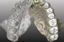 Découverte en Israël du plus ancien « Homo sapiens » hors d'Afrique - © Le Monde.fr