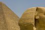 DECOUVERTE. Un sphinx égyptien en Israël intrigue les archéologues - © Nouvel Obs