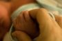 Des bébés pourraient être créés à partir de cellules de deux adultes de même sexe d'ici deux ans - © Slate .fr