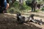Des terroristes palestiniens tirent une roquette sur Israël - © Juif.org