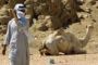 Egypte: libération de deux Britanniques enlevés dans le Sinaï - © 20Minutes