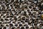 En images : les chrétiens célèbrent Pâques dans le monde entier - © Le Monde.fr