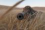Est-ce que la police va pouvoir utiliser des snipers contre les lanceurs de pierres ? - © Juif.org