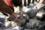Gaza: brève trêve humanitaire, réunion internationale à Paris - © 20Minutes