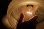 Gaza: Israël ne fournira plus que deux heures d'électricité par jour aux Palestiniens - © 20Minutes