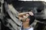Gaza : la trêve tient, malgré une brève flambée de violence - © Radio-Canada | Nouvelles
