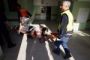 Gaza privée d'aide humanitaire, la violence se poursuit - © 20Minutes