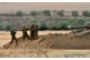 Gaza : un soldat israélien capturé par le Hamas ? - © LCI.fr - Monde