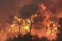 Haïfa sous les flammes - © RIA Novosti