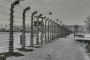Holocauste: 55% des Allemands pensent qu'il faudrait «enfin tirer un trait sur le passé» - © Slate .fr
