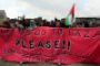  [ International ] Blocus de Gaza - Manifestations de solidarité - © Radio-Canada | Nouvelles