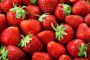 Israël autorise limportation de fraises de Gaza - © Juif.org