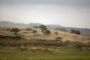 Israël : des roquettes tirées de Syrie atteignent le plateau du Golan - © France24 - moyen-orient