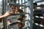 Israël va libérer plus de 150 prisonniers palestiniens fin août - © 20Minutes