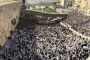 Jérusalem: des milliers de fidèles au Mur des Lamentations pour la "bénédiction des prêtres" - © i24 News