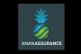 «L'Ananassurance» de Dieudonné, une entreprise faussement antisystème - © Slate .fr