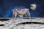 La première sonde israélienne "Bereshit" devrait atterrir sur la Lune à 19h25 GMT - © i24 News