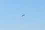Le Hezbollah tire sur Nahariya, un drone frappe un immeuble d'appartements - © Juif.org