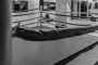 Le MMA instrumentalisé par les mouvements suprémacistes et identitaires - © Slate .fr