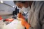 Le nez électronique : nouvelle trouvaille pour lutter contre le cancer - © LCI.fr - Sciences