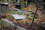 Le plus vieux cimetière juif de Berlin rénové - © Juif.org