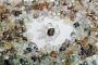 Le russe Alrosa a fourni pour 300 M USD de diamants bruts à Israël - © RIA Novosti