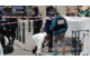 Le tueur portait une caméra autour du cou - © LCI.fr France