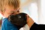Les chiens ont du flair pour dépister un cancer - © Futura-Sciences Actualits