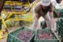 Les désillusions des agriculteurs israéliens - © La Libre
