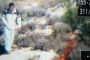 Les incendies ont fait rage dans tout Israël durant Shabbat - © Juif.org
