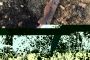 Nouvelle attaque terroriste arabe en Samarie - © Juif.org