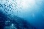 On aurait retrouvé les restes d'un océan perdu en Méditerranée - © Futura-Sciences Actualits