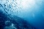 On aurait retrouvé les restes d'un océan perdu en Méditerranée - © Futura-Sciences Actualits