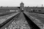Pape : "les puissances n'ont rien fait quand les Juifs étaient emmenés à Auschwitz" - © Juif.org