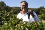 Près de Nîmes, un domaine viticole 100% casher exporte jusqu'au Brésil - © 20Minutes