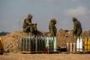 Proche-Orient : l'Egypte propose un cessez-le-feu - © La Libre