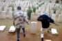 Silence des anti-israéliens : Daech saccage le cimetière palestinien de Yarmouk (Syrie) - © Le Monde Juif