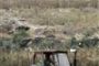 Syrie - L'armée syrienne déploie ses blindés dans Idleb contre l'opposition - © Radio-Canada | Nouvelles