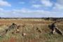 Syrie: progression des rebelles sur le plateau du Golan - © 20Minutes