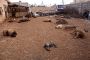 Syrie : "prouvez que les mots d'Obama ne sont pas vides" - © Juif.org